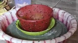 Warga Desa Pegalaran Kecamatan Malingping Di Serbu Lalat, Diduga Akibat Adanya Kandang Ayam