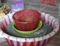 Warga Desa Pegalaran Kecamatan Malingping Di Serbu Lalat, Diduga Akibat Adanya Kandang Ayam